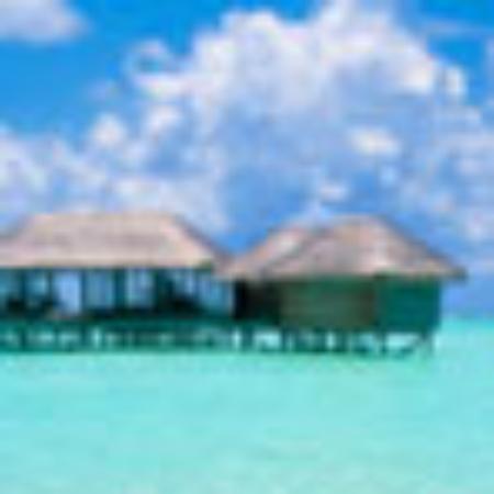 Domino's Pizza-Chinchilla